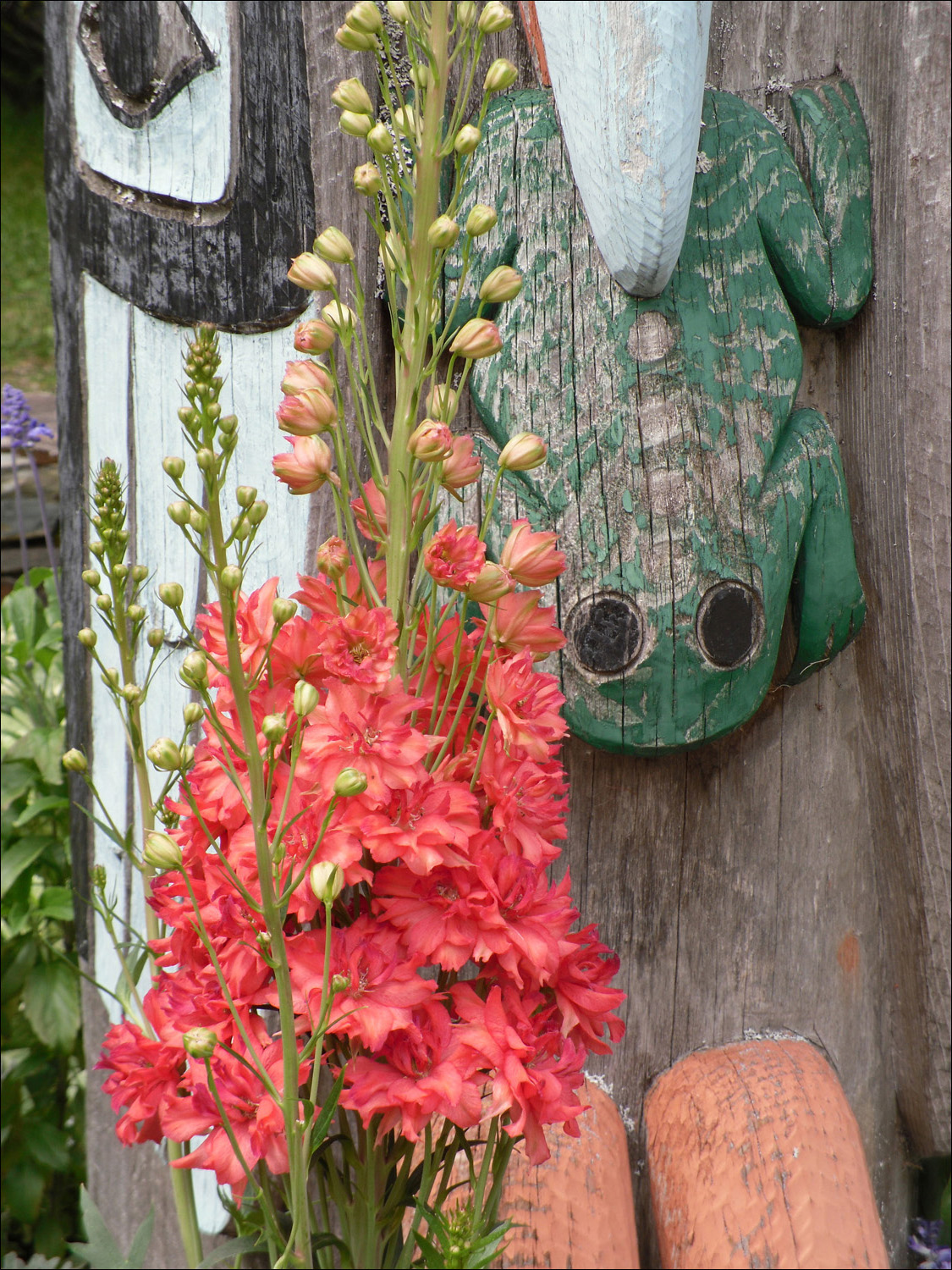 Glacier National Park- Variety of flowers surrounding Lake McDonald Lodge